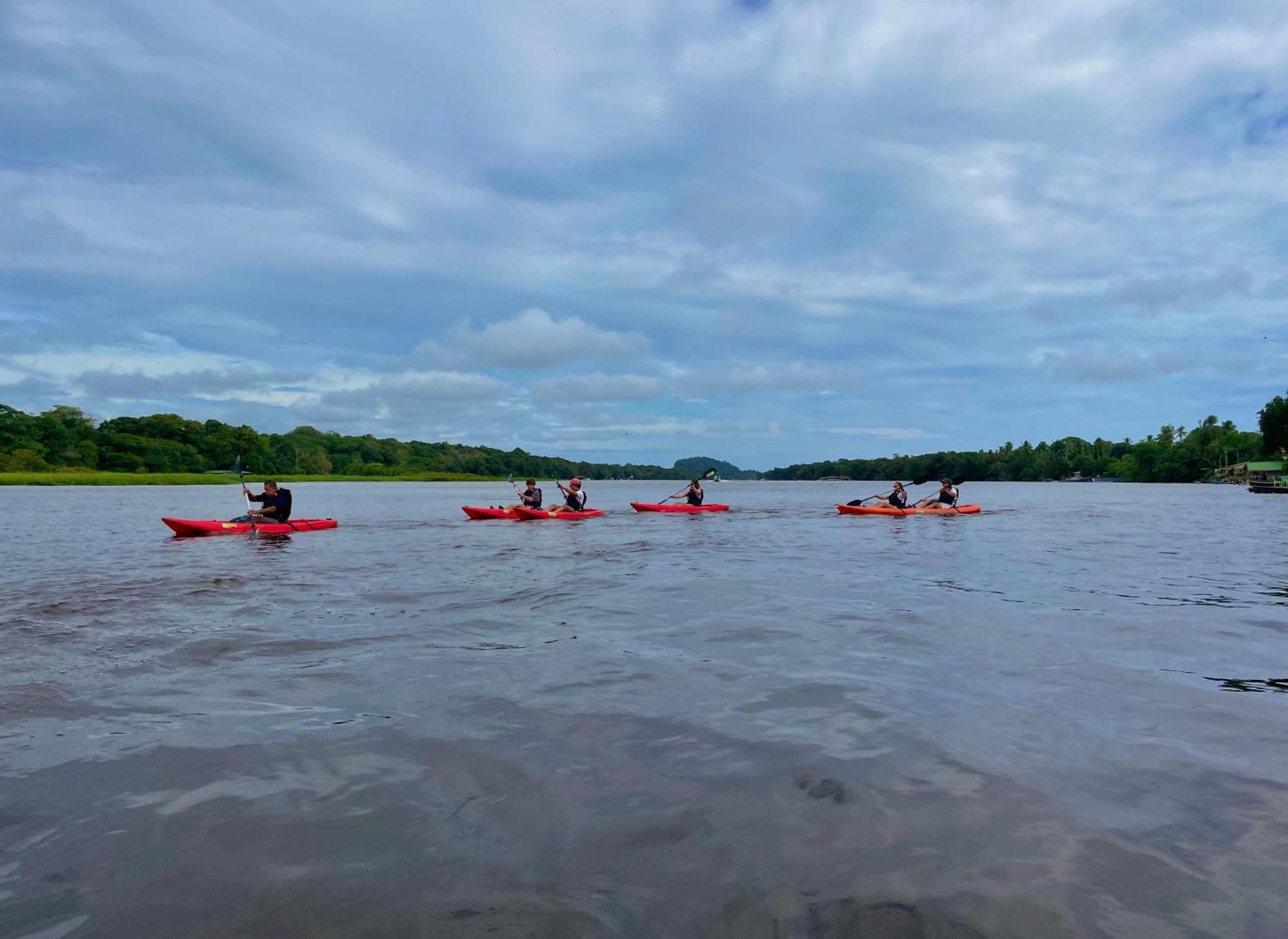Carey Lodging Tortuguero Exterior foto