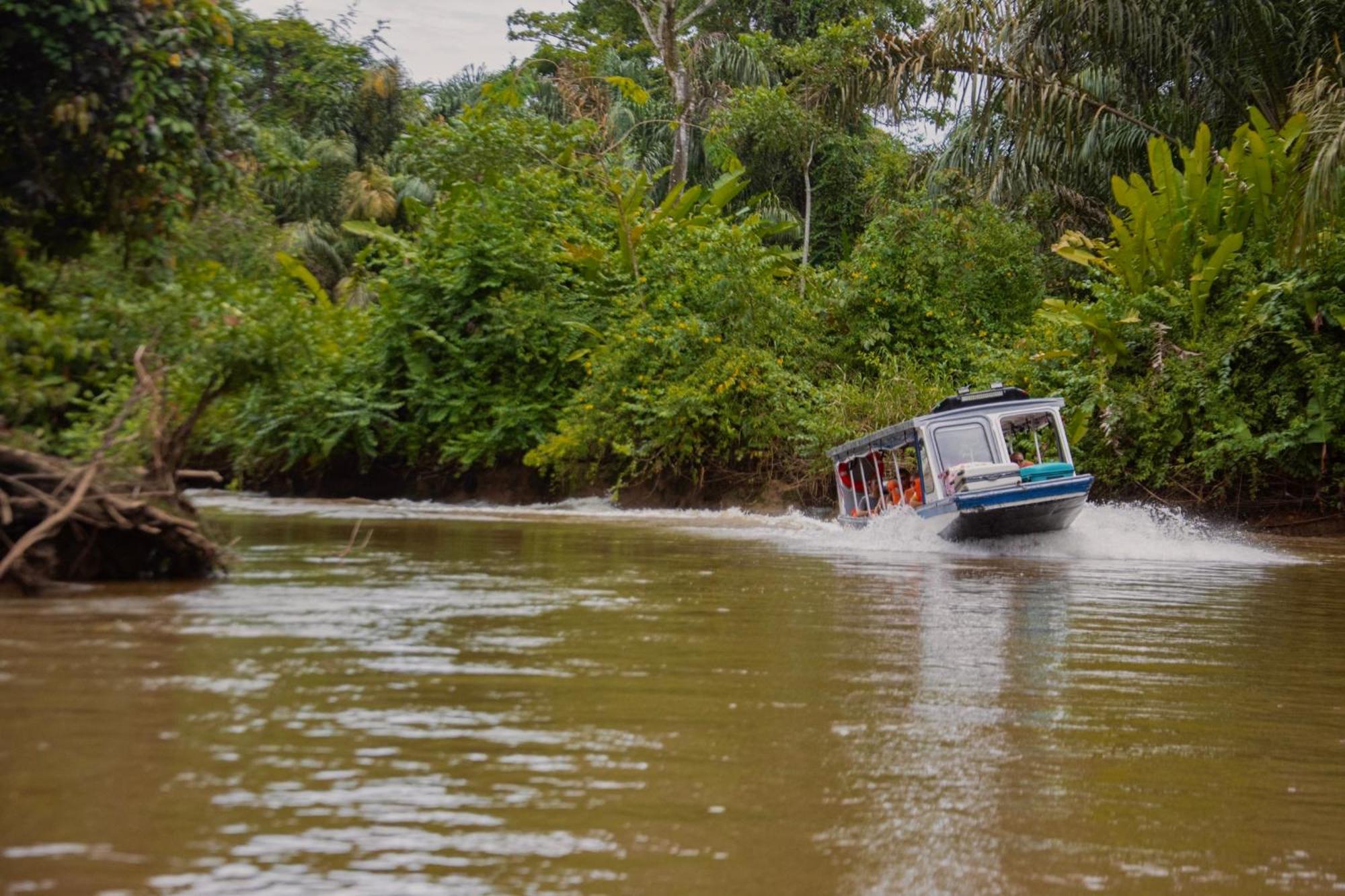 Carey Lodging Tortuguero Exterior foto
