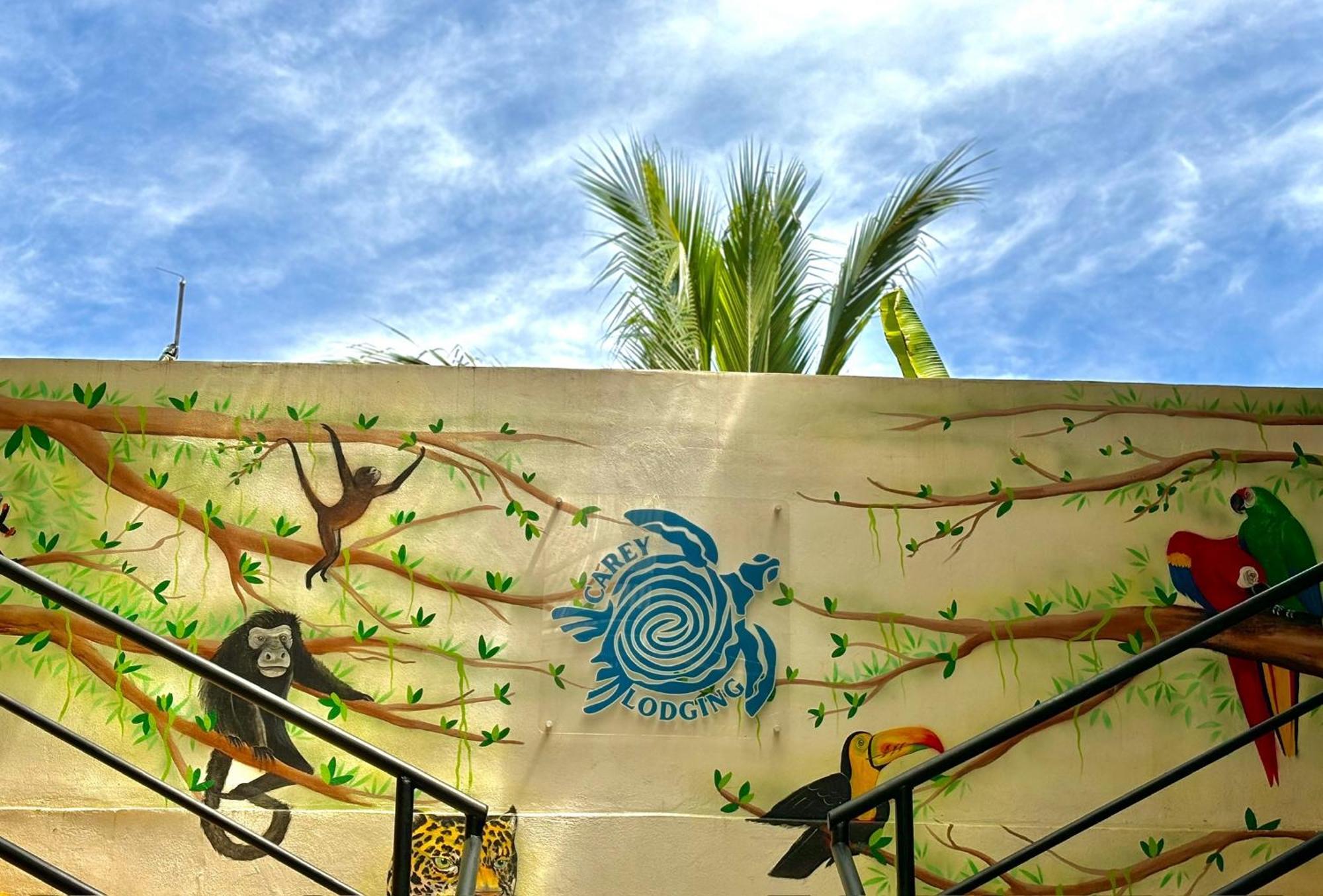 Carey Lodging Tortuguero Exterior foto